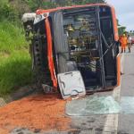 Insetos e celulares: combinações perigosas ao volante que podem causar acidentes