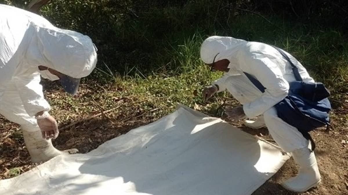 Divinópolis confirma primeira morte por febre maculosa