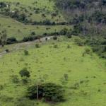 Receita Federal abre prazo para entrega da Declaração do Imposto Territorial Rural