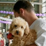 Comércios que aceitam entrada de pets devem exibir selo 'pet friendly'