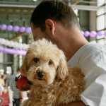 Comércios que aceitam entrada de pets devem exibir selo 'pet friendly'