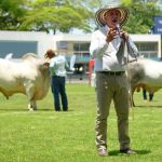 “Julgar no Brasil foi a experiência mais gratificante da vida”, disse jurado colombiano 
