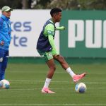 Estêvão inicia transição e pode reforçar Palmeiras; Mayke e Felipe Anderson não treinam