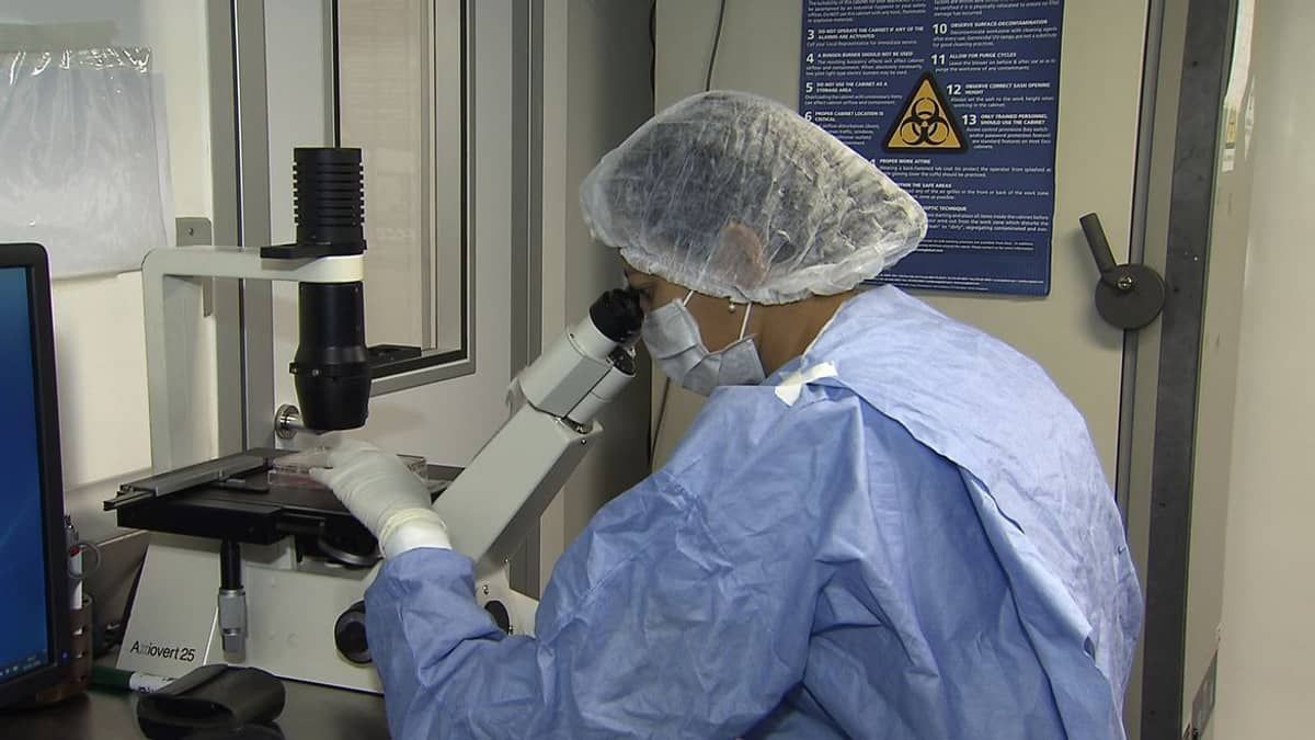 HIV: terceiro paciente é curado após transplante de células-tronco, aponta estudo