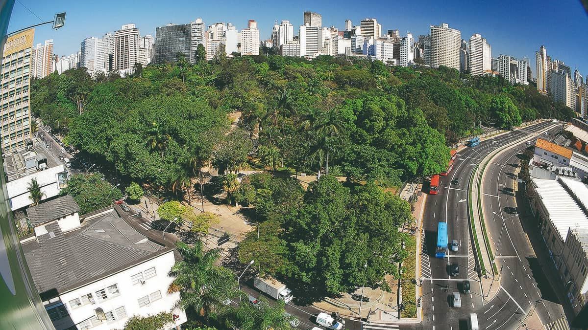 Cidades com mais áreas verdes registram menos internações por doenças respiratórias