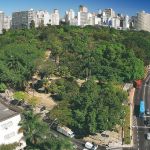 Cidades com mais áreas verdes registram menos internações por doenças respiratórias