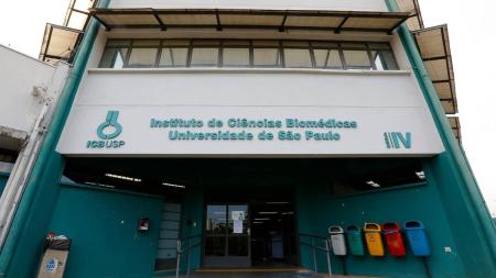 Estudo é conduzido por pesquisadores do Instituto de Ciências Biomédicas (ICB) da USP