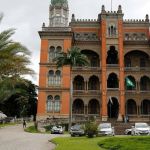 Covid-19: Fiocruz estuda antiviral para combater a doença