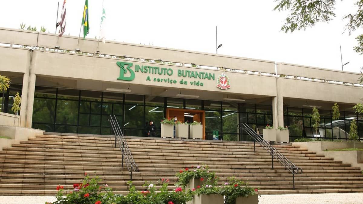 Gripe aviária: Butantan começa a desenvolver vacina contra a doença