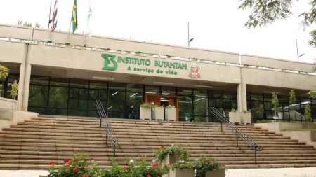 Estudo está na fase de testes em laboratório