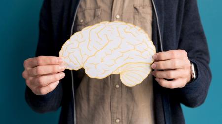 Pesquisas recentes revelam que essa gordura é essencial para o bom funcionamento do cérebro, mas o excesso pode acelerar o declínio cognitivo e aumentar o risco de Alzheimer