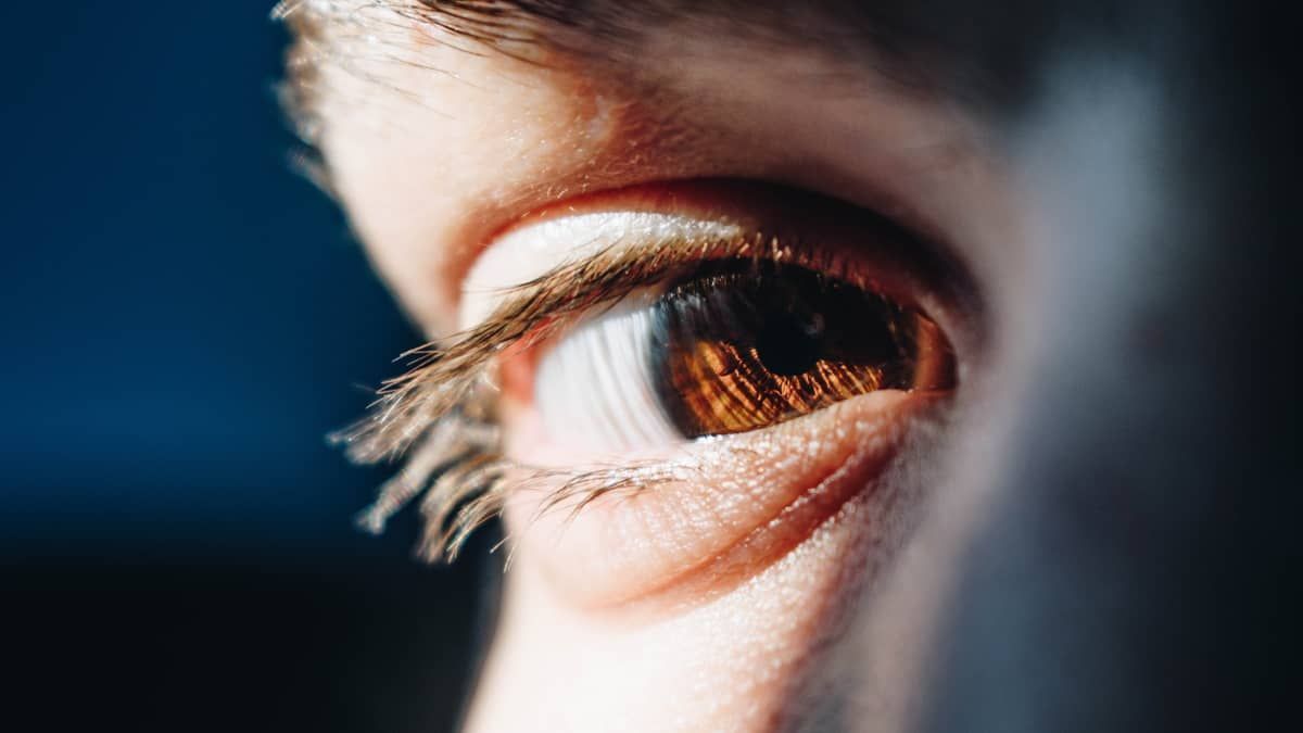 Células dormentes da retina podem devolver visão perdida