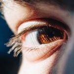 Células dormentes da retina podem devolver visão perdida