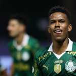Por que Estevão, do Palmeiras, corre risco de não enfrentar o Cruzeiro