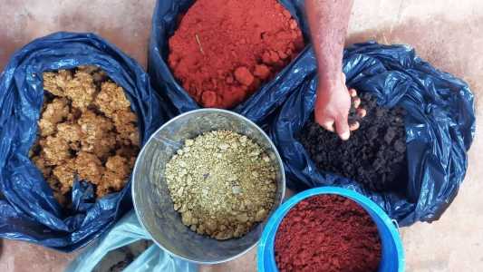 "Eu não imaginava que a nossa terra era tão cheia de cores, muito menos que poderia proporcionar melhorias grandiosas na nossa vida e na nossa", disse agricultora