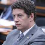 Ex-ministro do Meio Ambiente, Ricardo Salles vira réu por exportação ilegal de madeira