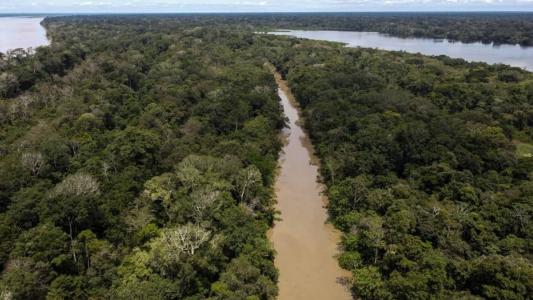 Ex-participante de reality show "90 Dias para Casar" desaparece na Amazônia.