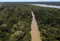 Amazônia pode perder até 38% das florestas em savanização acelerada até 2060
