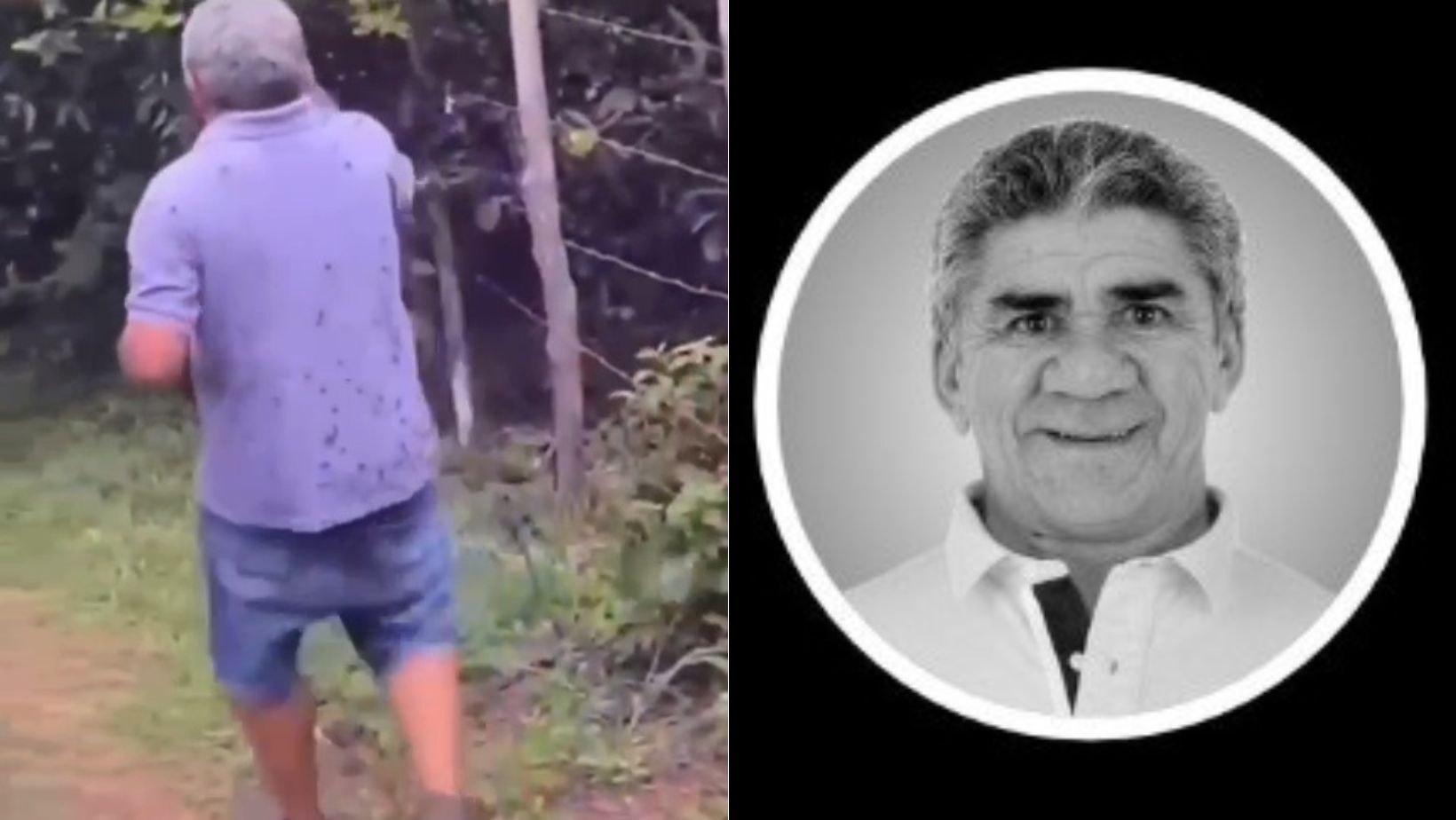 Ex-vereador é morto em ataque de abelhas no interior do Ceará