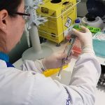 Laboratório mineiro que errou exame de DNA é condenado a indenizar mãe; entenda