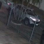 Vídeo: suspeitos de executarem advogado famoso em Cuiabá são presos em Minas Gerais