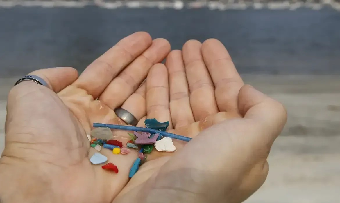 Expedição científica procura microplásticos em frutos do mar do Brasil