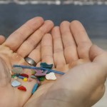 Expedição científica procura microplásticos em frutos do mar do Brasil