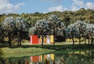 Inhotim completa 20 anos com inauguração de três novas obras; veja fotos