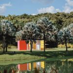 Festival Fartura ocupa Inhotim em segunda edição; saiba os chefs participantes