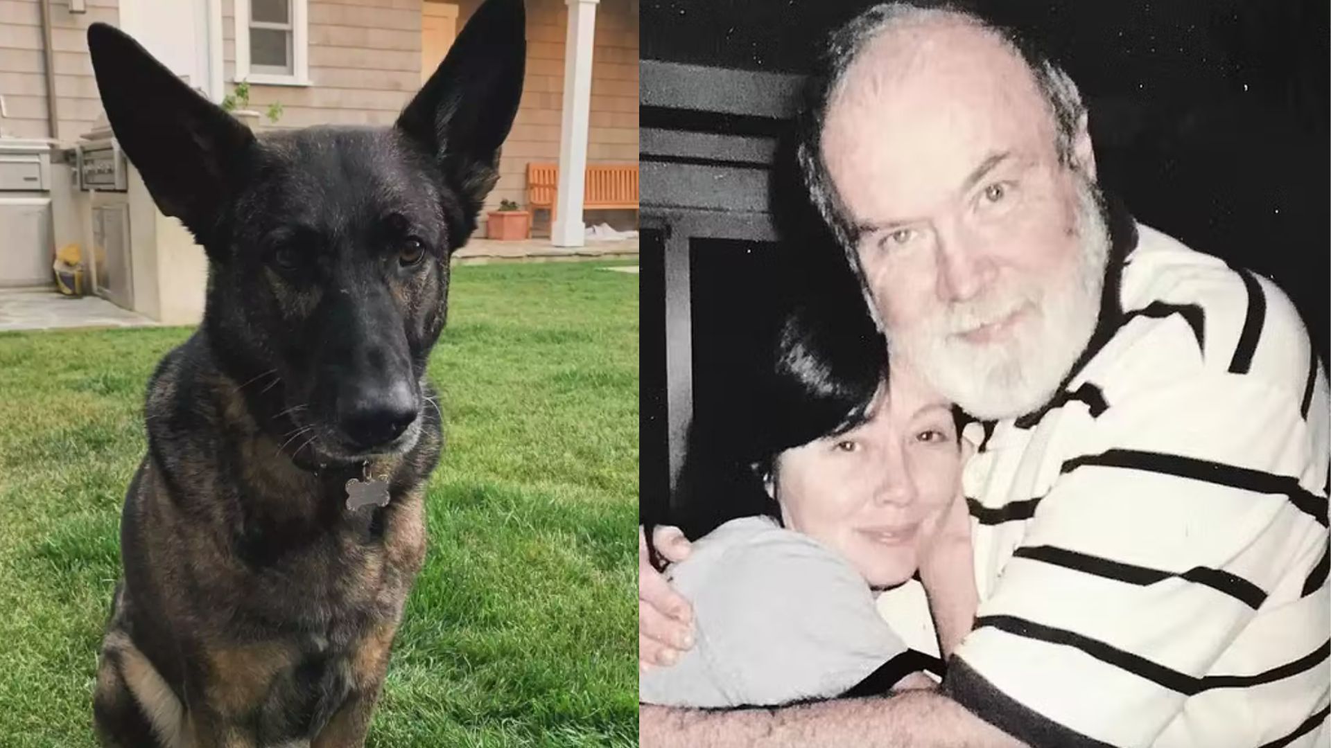 Shannen Doherty tinha desejo inusitado para suas cinzas após morte: ‘Misture tudo’