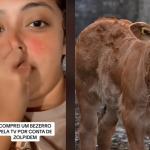 ‘Acordei no leilão de vaca’: mulher compra bezerro após tomar zolpidem