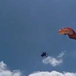 Vídeo: homem sofre queda com paramotor no interior de Minas