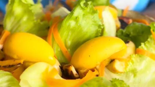Salada feita de alface, abóbora, cenoura e outros ingredientes