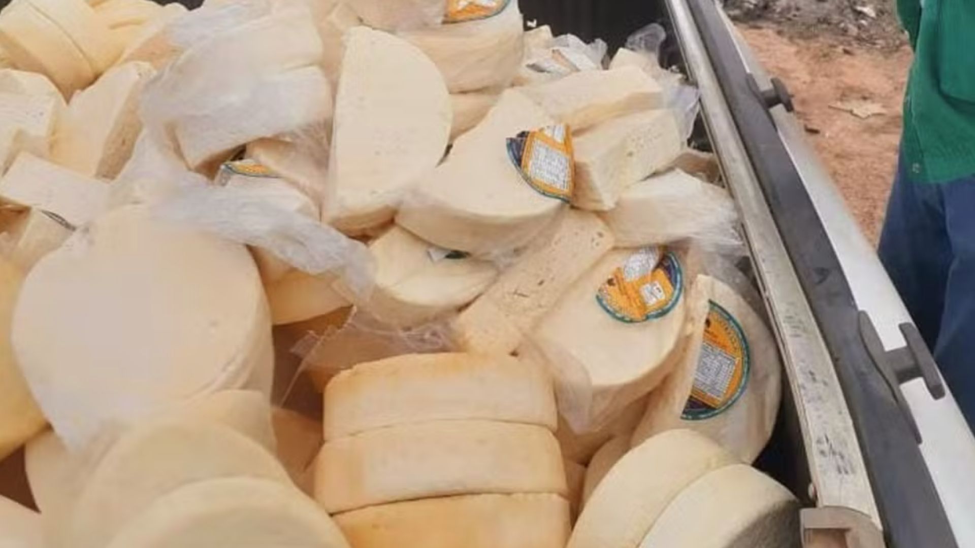 Mais de meia tonelada de queijo impróprio para consumo é apreendida no interior de MG