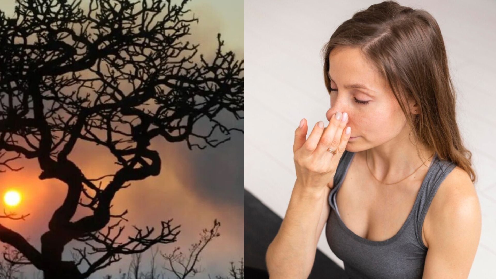 Como cuidar da saúde respiratória em casa durante tempo de ar seco e queimadas