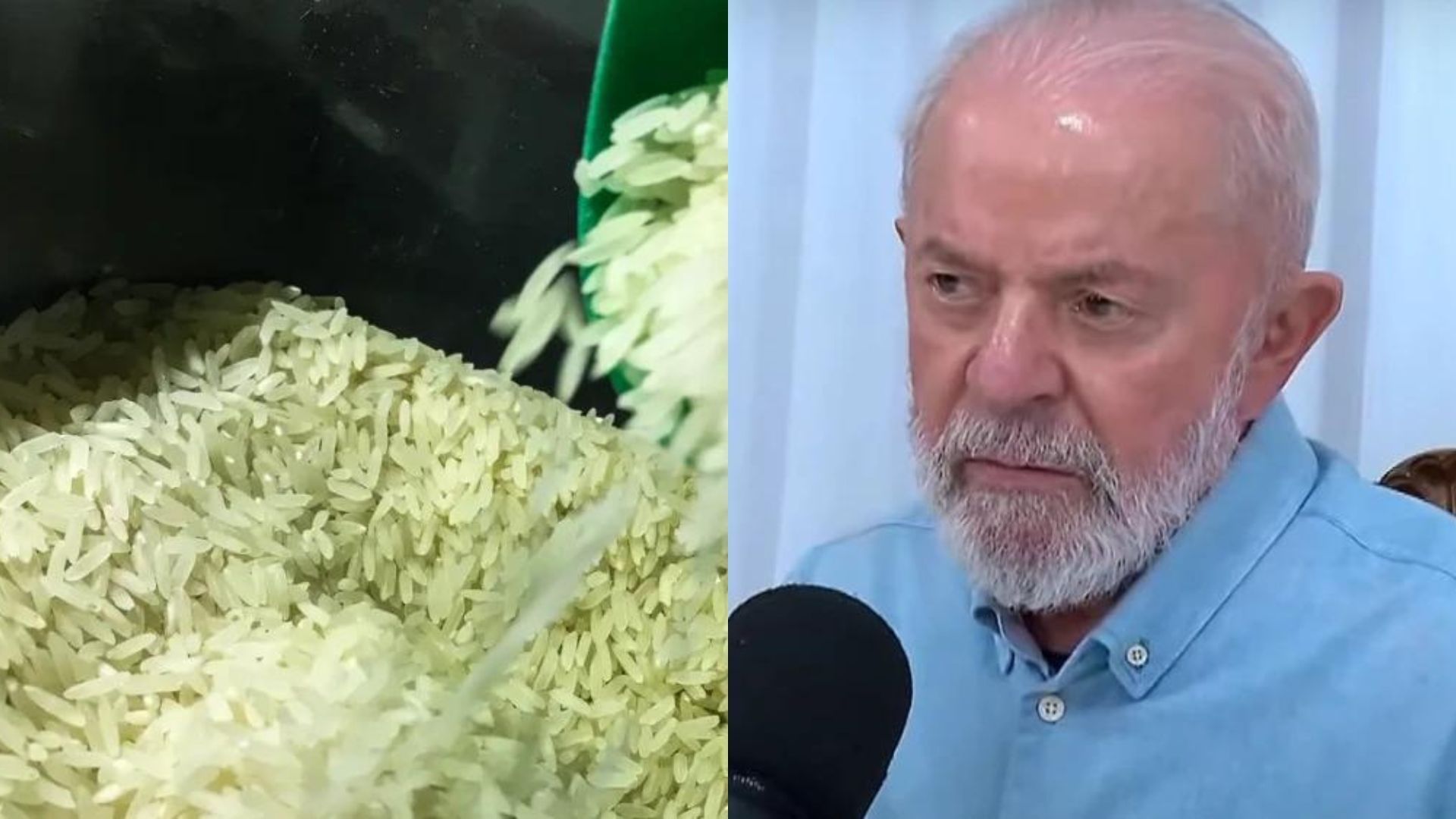 Presidente Lula confirma falcatrua no leilão do arroz