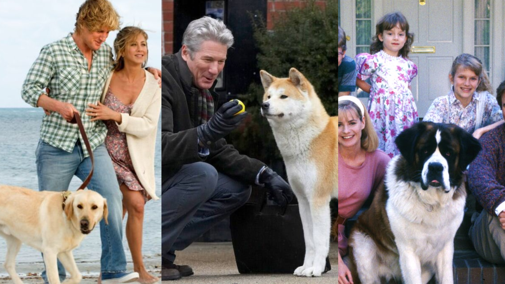 Dia Mundial do Cachorro: 5 filmes que têm cães como protagonistas