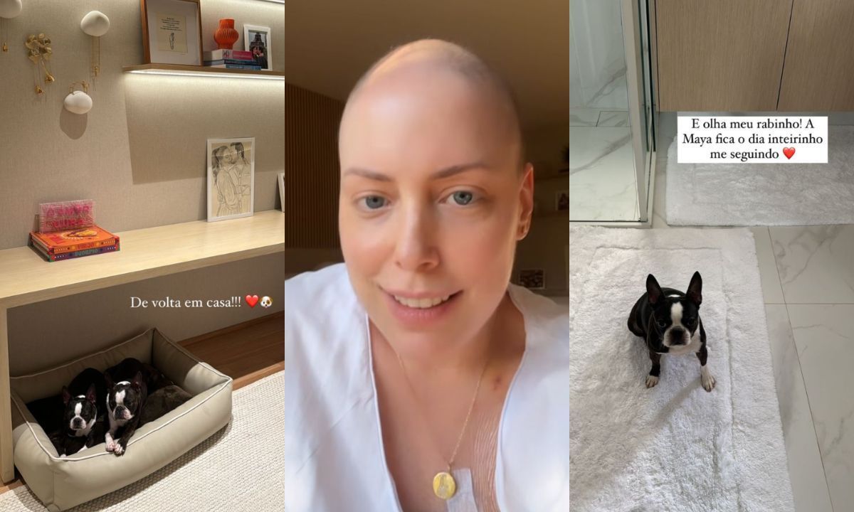 Após câncer, Fabiana Justus reencontra pets que não vê desde o transplante