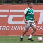 Fabinho é jogador com maior sequência de jogos no elenco do Palmeiras