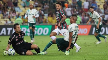 Fábio em uma de suas várias defesas pelo Fluminense contra o Palmeiras