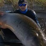 Vídeo: youtuber pesca pirarucu de 2,5 metros e 130 quilos na Amazônia e é 'atacado' pelo gigante