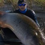 Vídeo: youtuber pesca pirarucu de 2,5 metros e 130 quilos na Amazônia e é 'atacado' pelo gigante