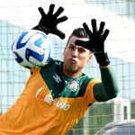 Fábio, do Fluminense, pode se tornar o mais velho a ganhar a Libertadores