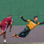 Fluminense se movimenta para renovar por mais um ano com Fábio