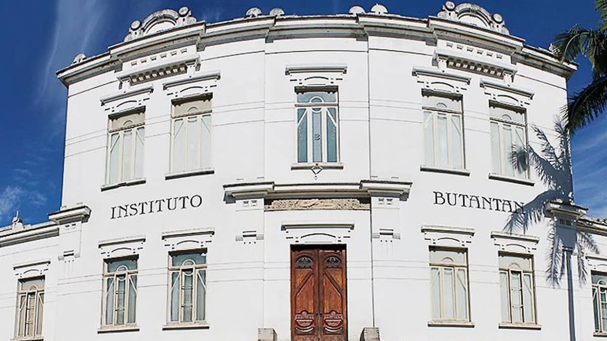 Butantan desenvolve pomada com alto poder cicatrizante produzida de fungo da Caatinga brasileira