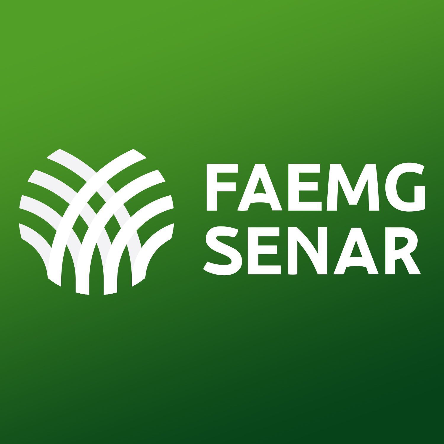 FAEMG SENAR