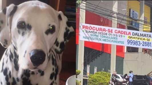 Família disse que quem encontrá-la será recompensado