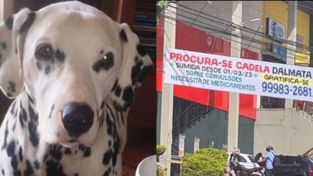 Família disse que quem encontrá-la será recompensado