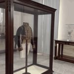 Bicentenário de Dom Pedro II inspira exposição no Museu Mariano Procópio