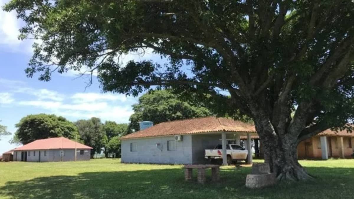 Fazendas de ex-presidente do Brasil vão a leilão por R$ 254 milhões; fotos